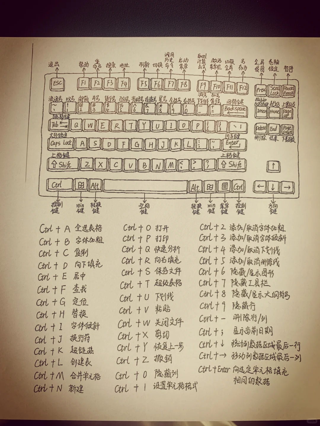 我刚学电脑时怎么没人告诉我