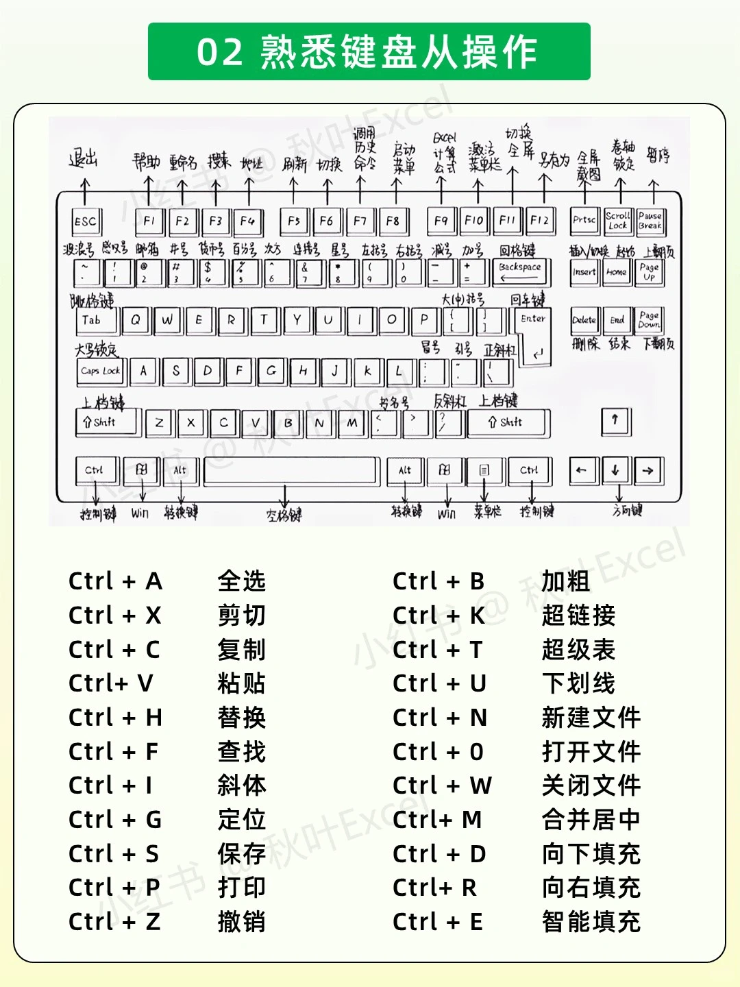 坚持练习一个月,你的excel水平就很🐮了