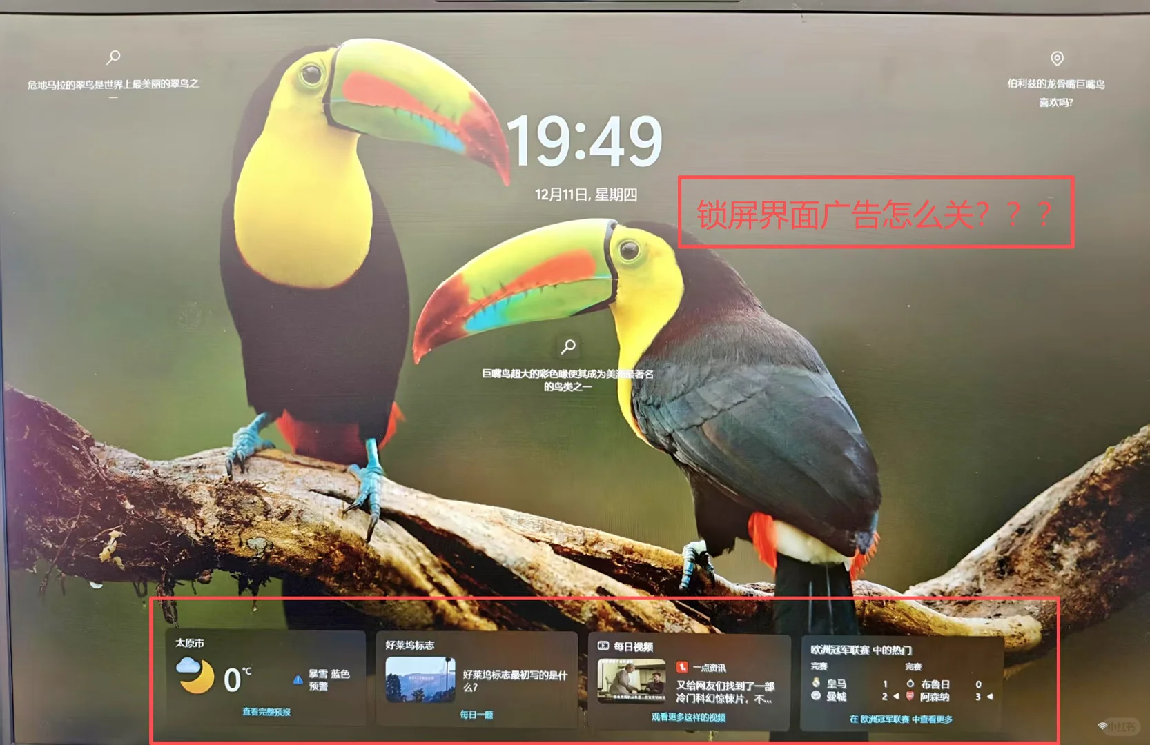 Win11系统优化：关闭广告推送👀