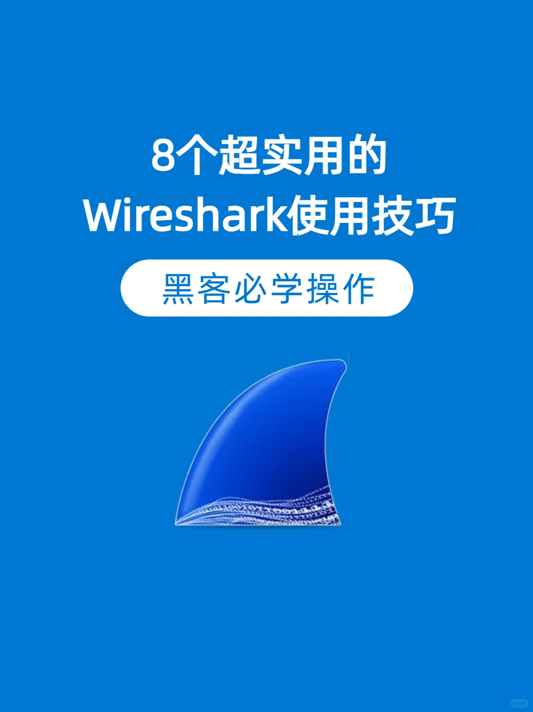 8 个常用的 Wireshark 使用技巧，黑客必会