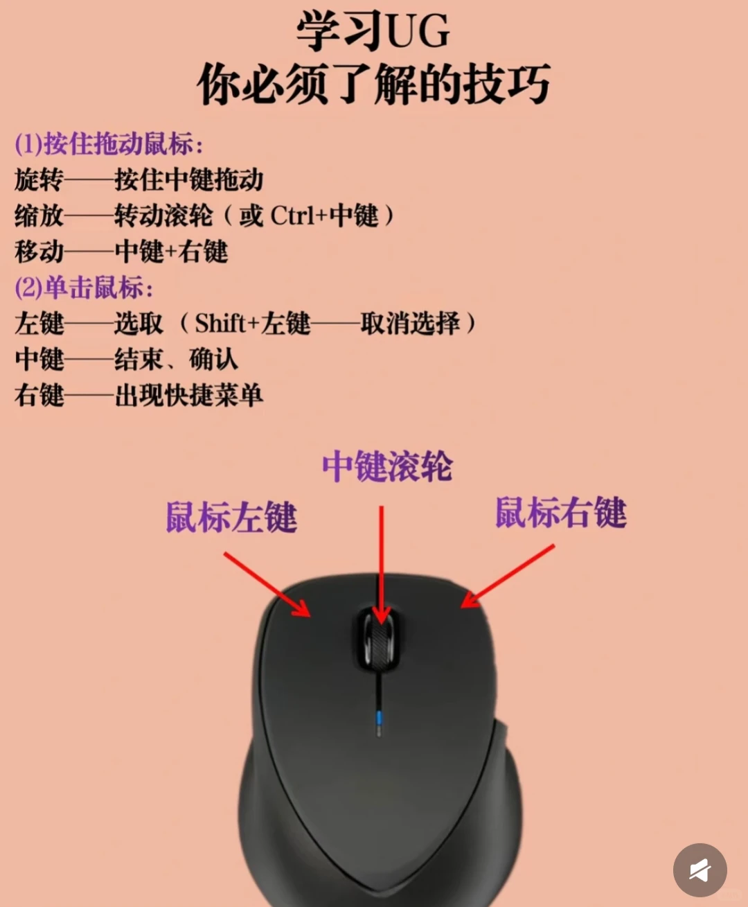 小白也能学会！