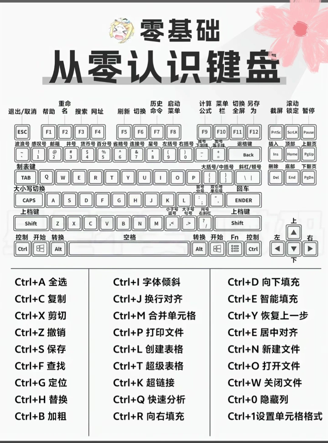 电脑小白必看！从零认识键盘