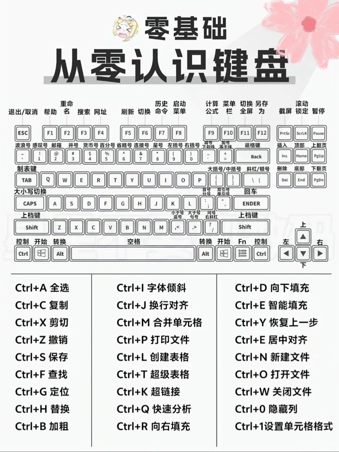 电脑小白必看！从零认识键盘