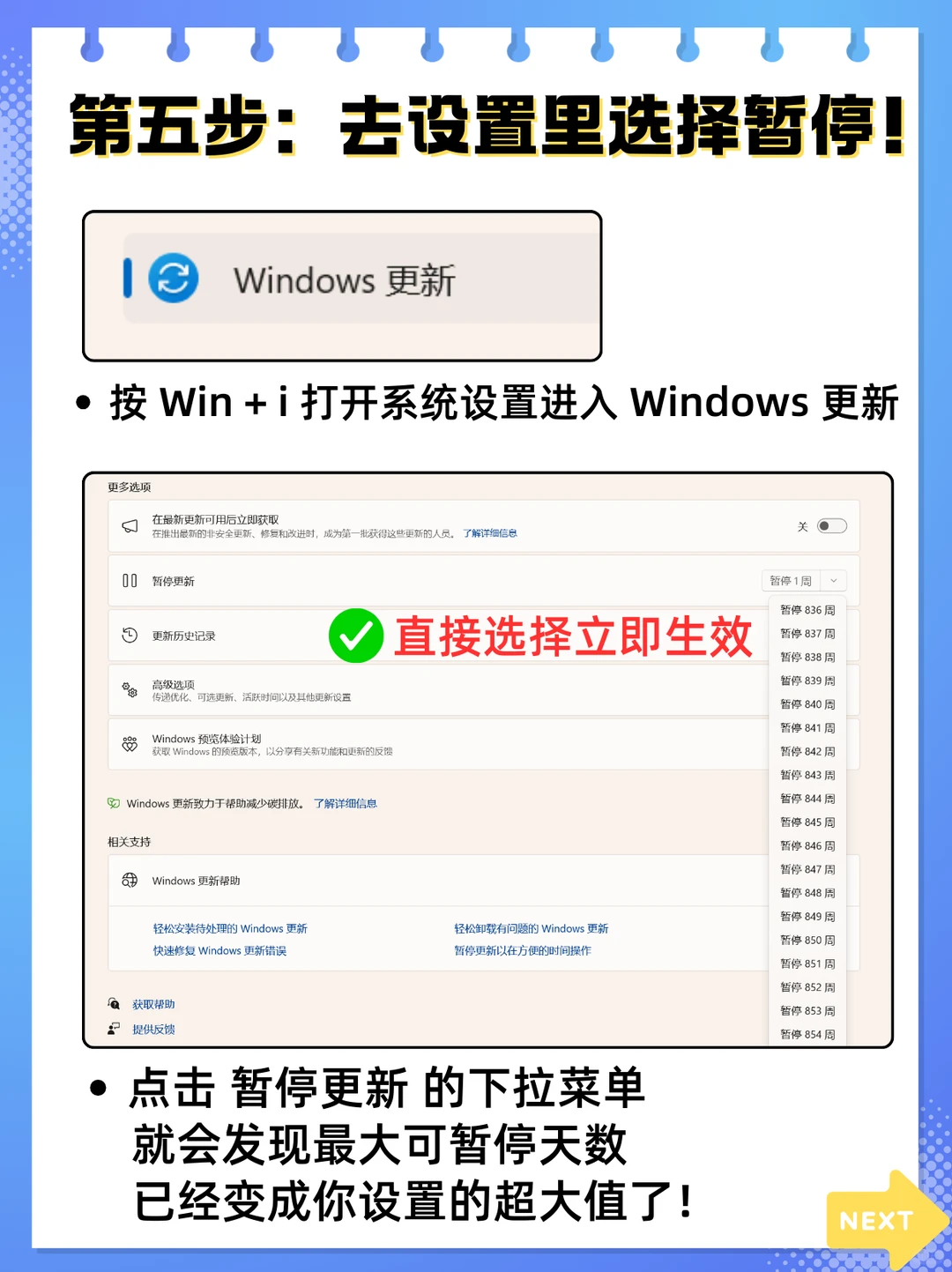 🔥0副作用教你暂停Win11更新超简单！！