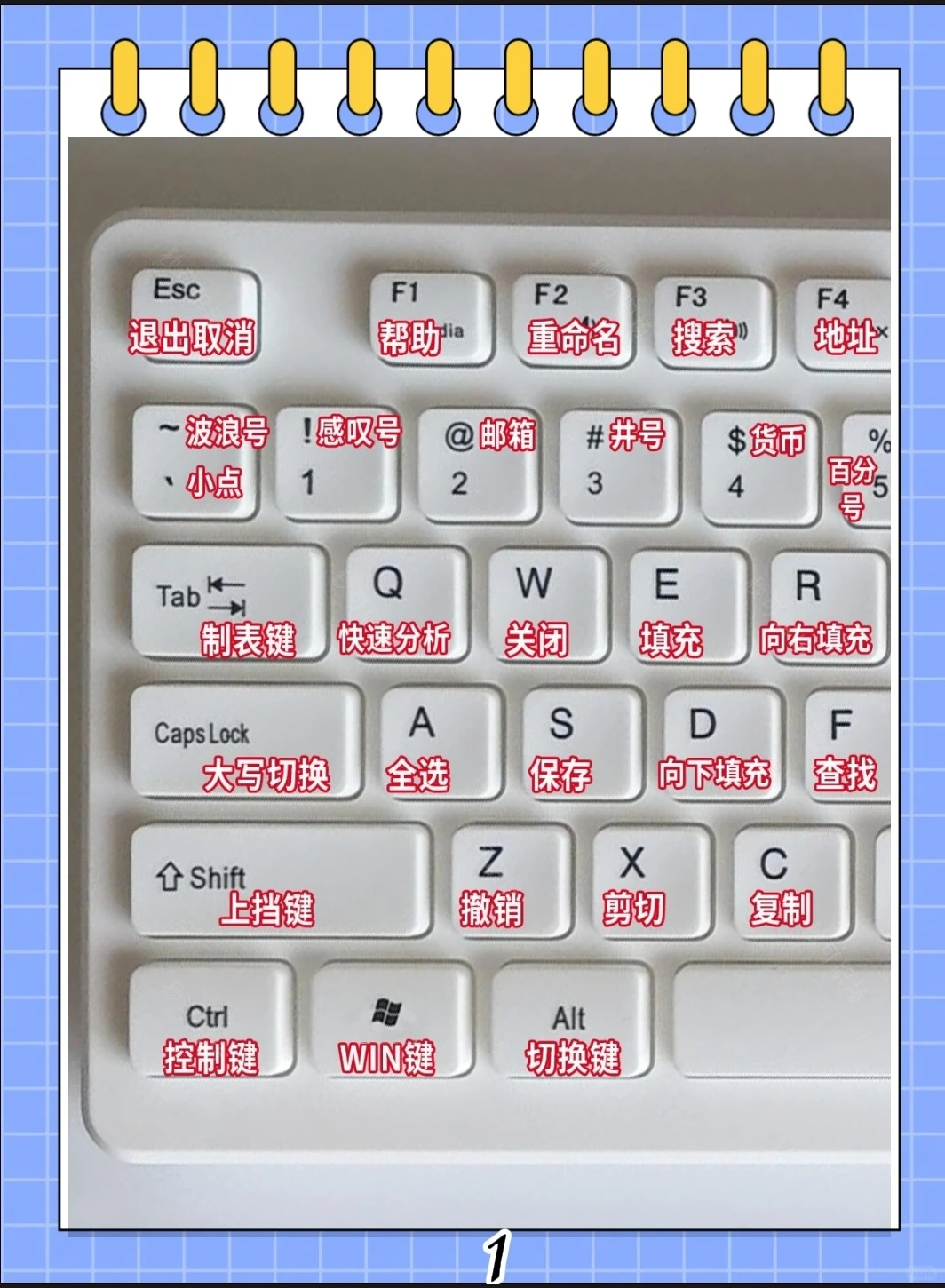 这个太全了吧，为什么没有人告诉我！！