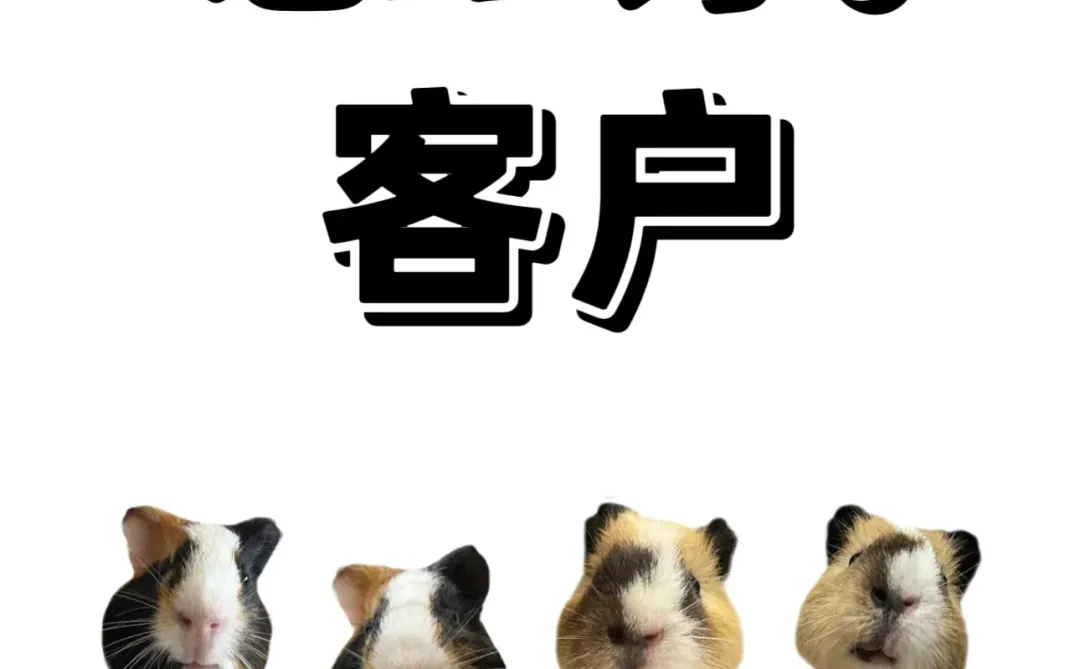 客户不会从天降！这6个找客方法适合你