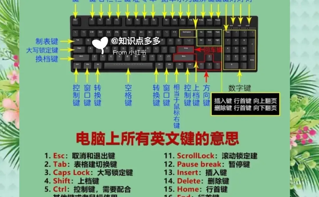 提升打字速度「盲打必备电脑🖥️知识」