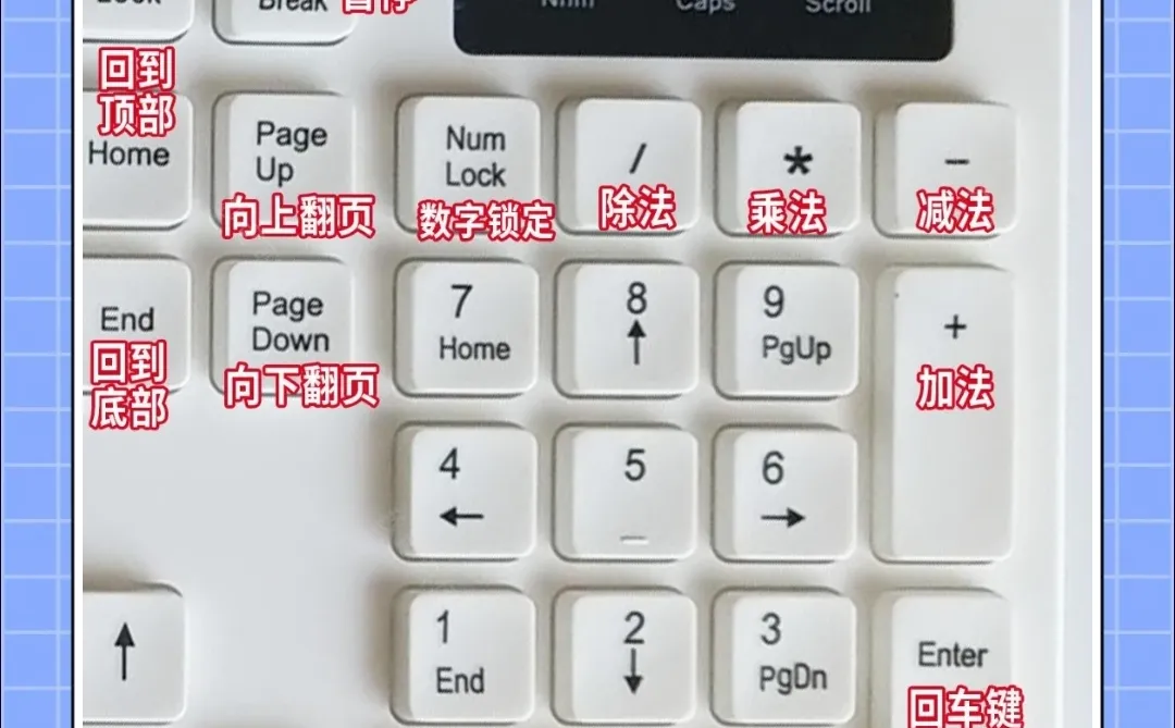 这个太全了吧，为什么没有人告诉我！！