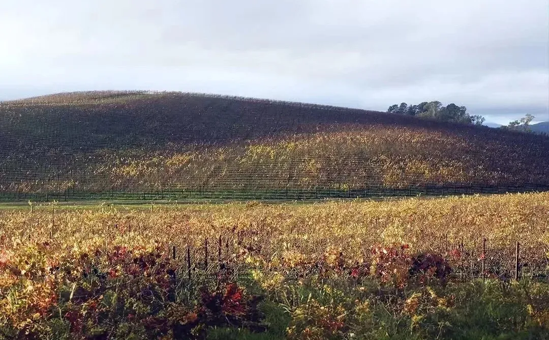 Windows XP桌面的前世今生