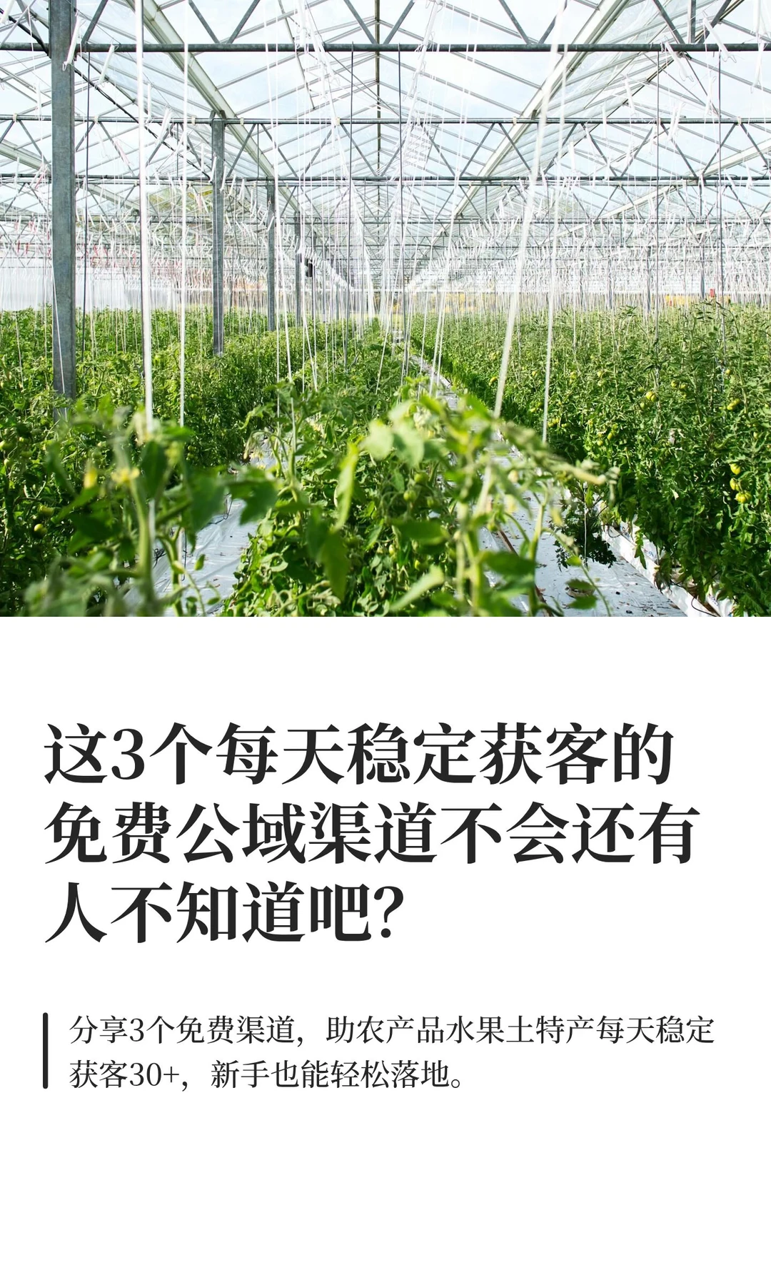 这3个每天稳定获客的免费公域渠道不会还有