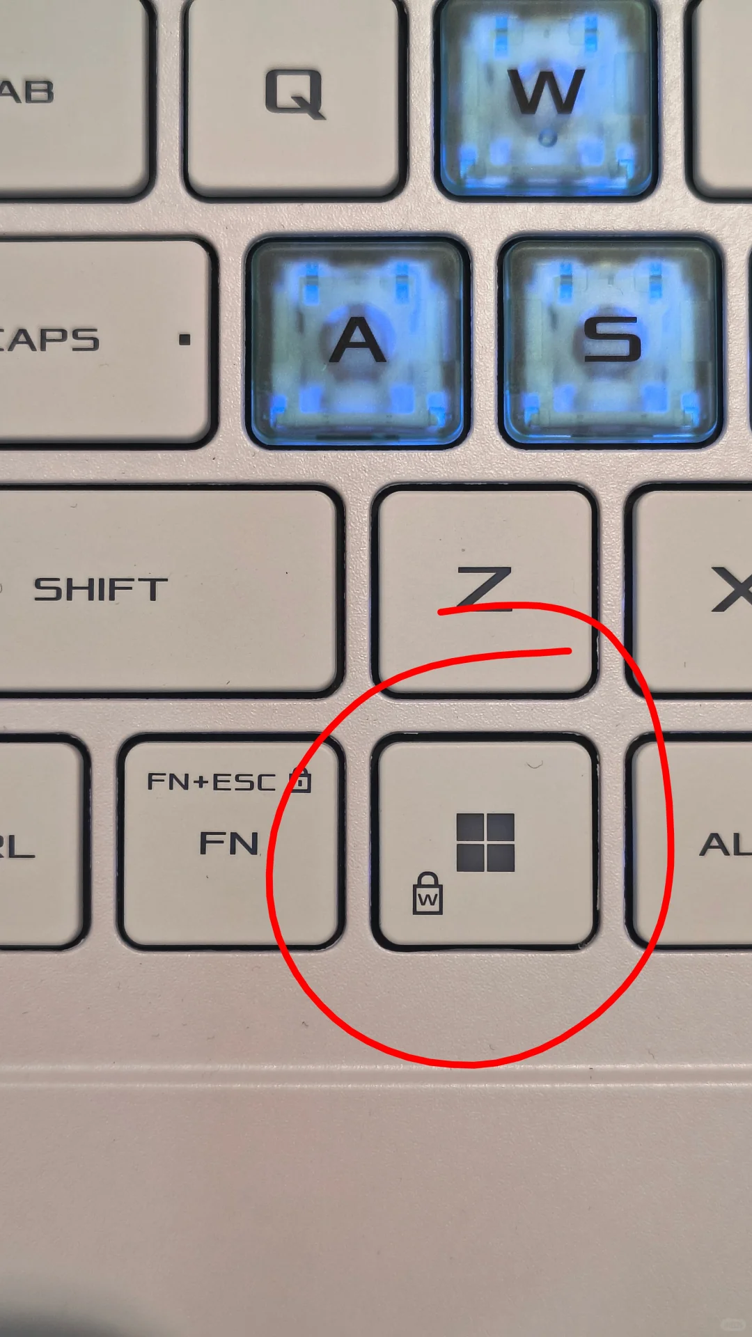 一张图弄懂你的天选Win健