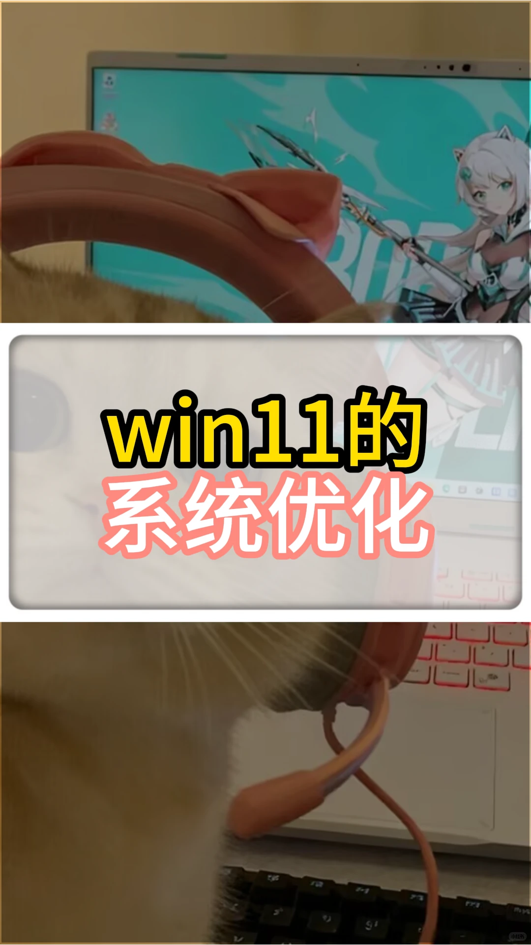 win11系统的优化设置，让你使用起来更顺手