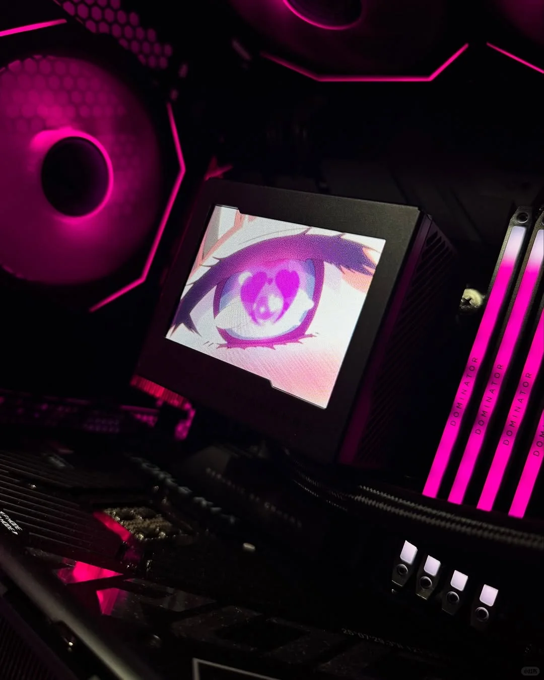 帅就完了！！！