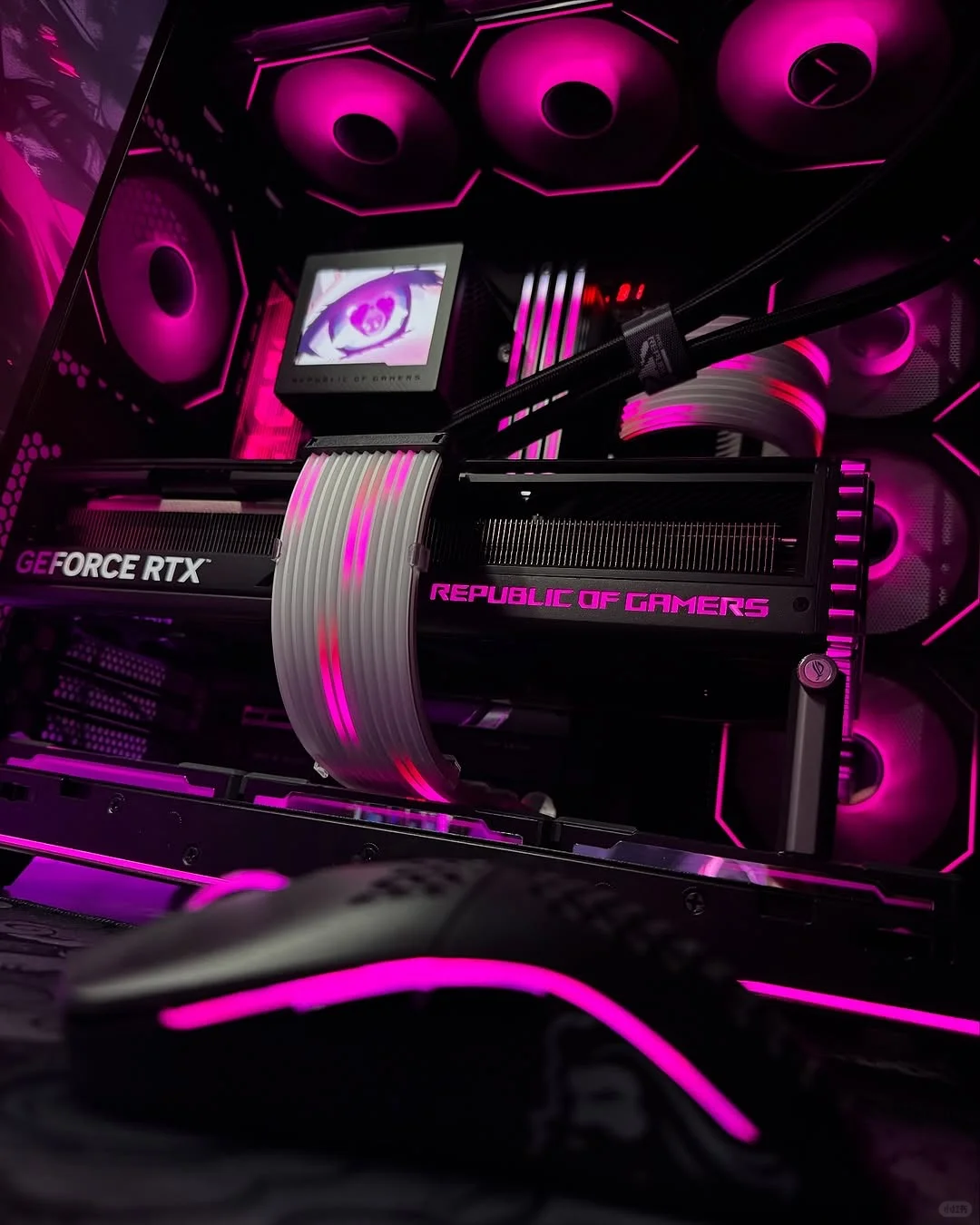 帅就完了！！！