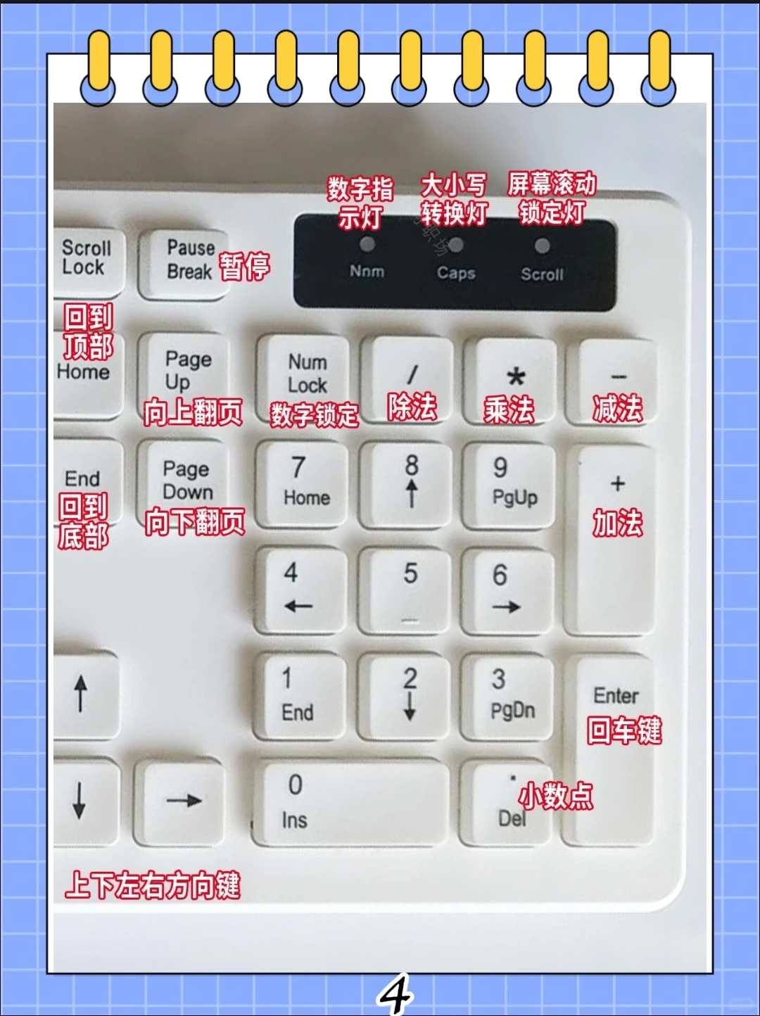 这个太全了吧，为什么没有人告诉我！！