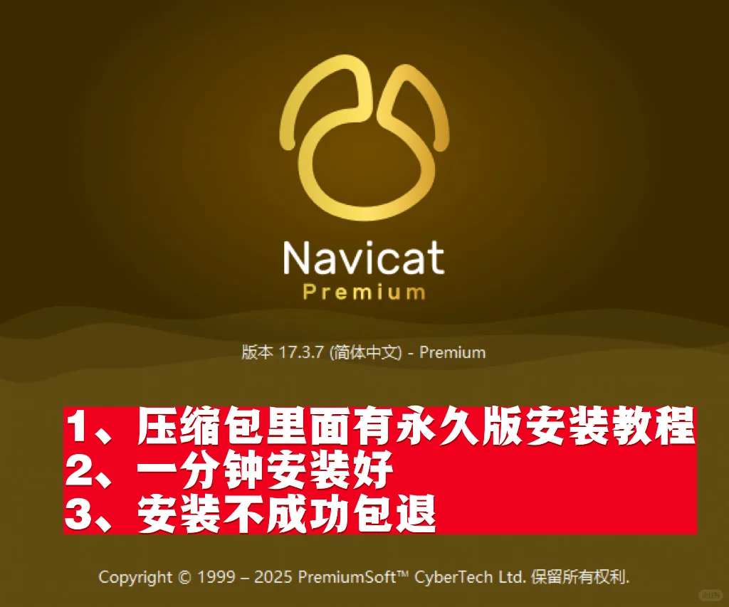 Navicat17永久免费win/mac中文版