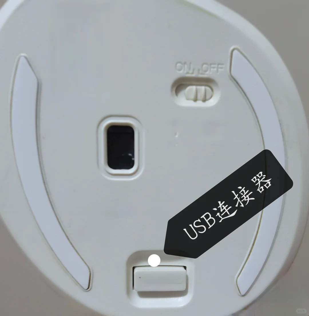 学习如何熟练电脑第二天[棒R]🖥️鼠标