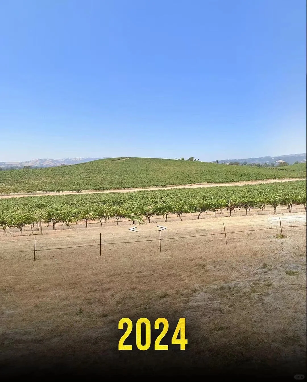 Windows XP桌面的前世今生