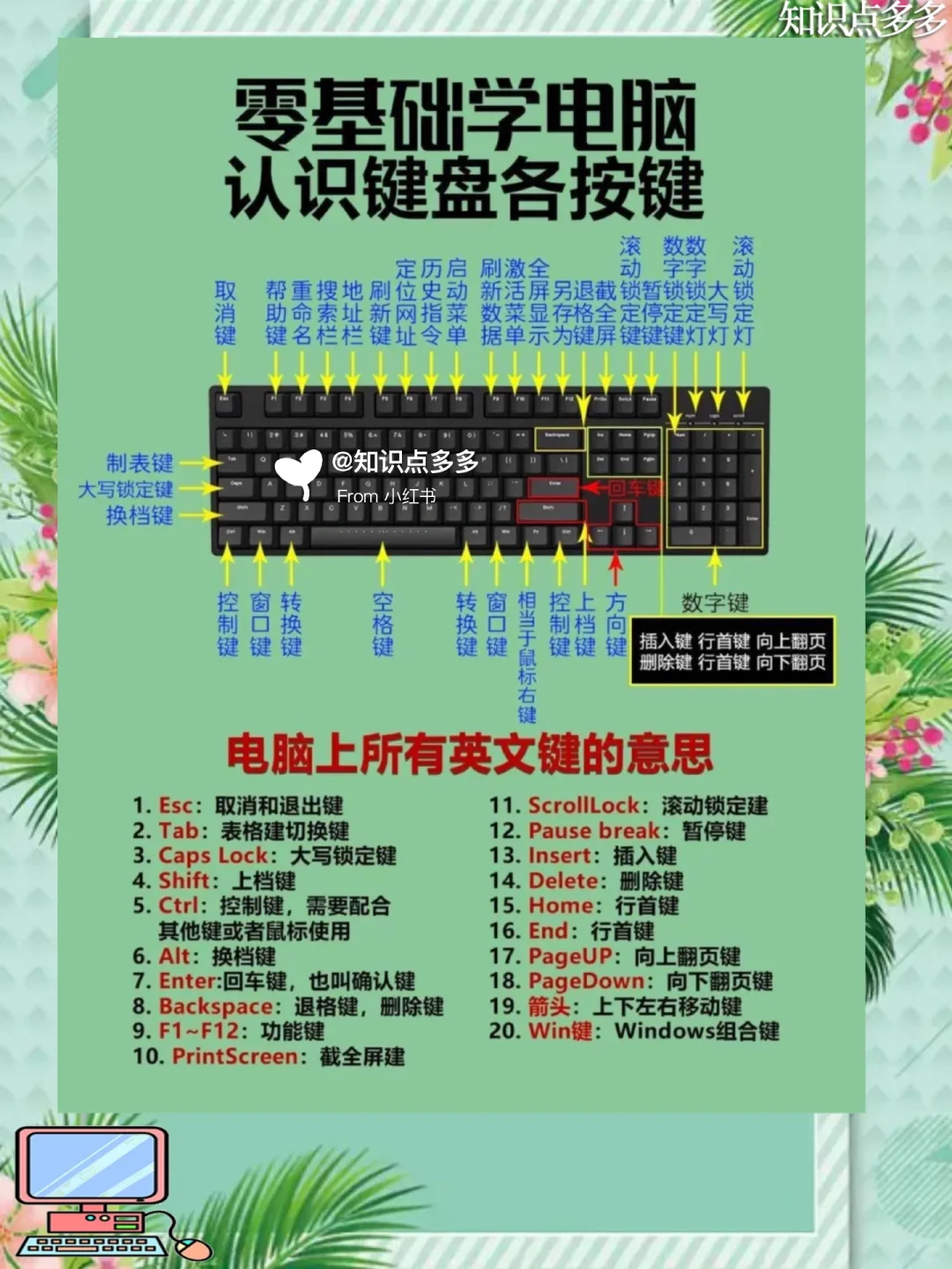 提升打字速度「盲打必备电脑🖥️知识」