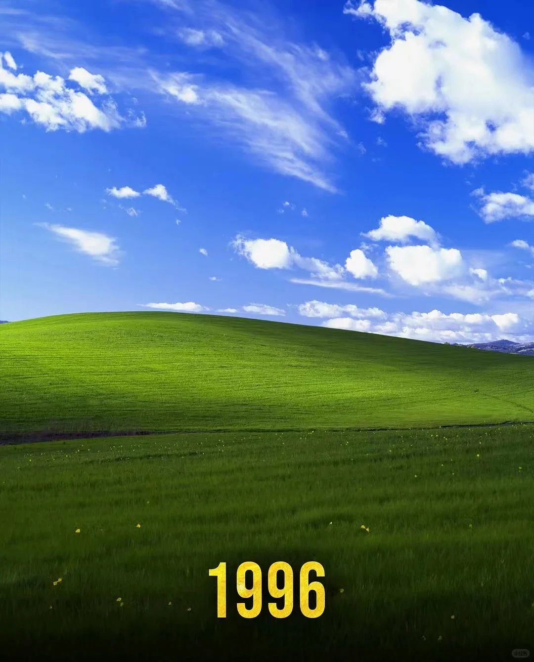 Windows XP桌面的前世今生