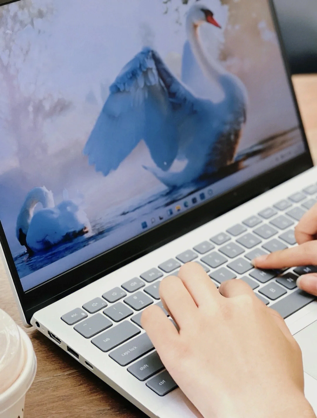 电脑蓝屏怎么办？别慌❗