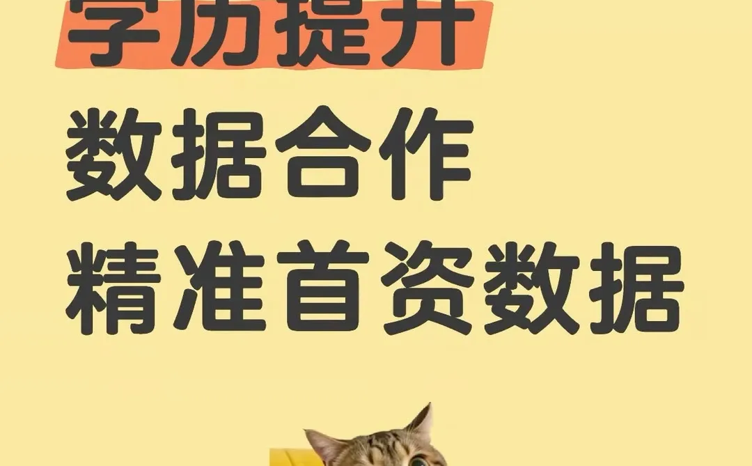 救命！成人学历提升投放数据爆了！老板们快来