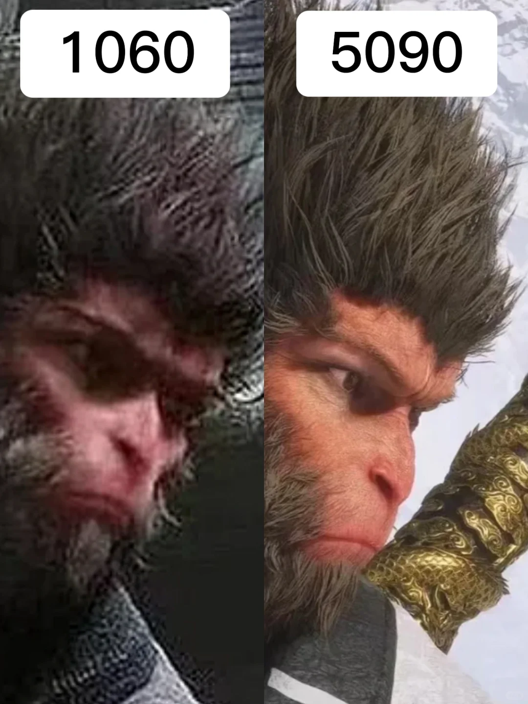 没有对比就没有伤害…玩黑神话还是用高配吧