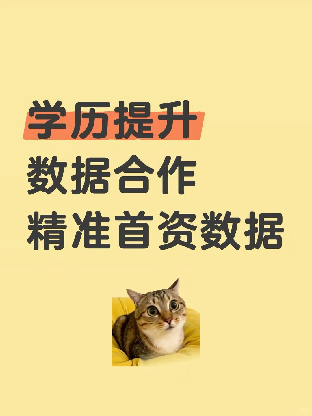 救命！成人学历提升投放数据爆了！老板们快来