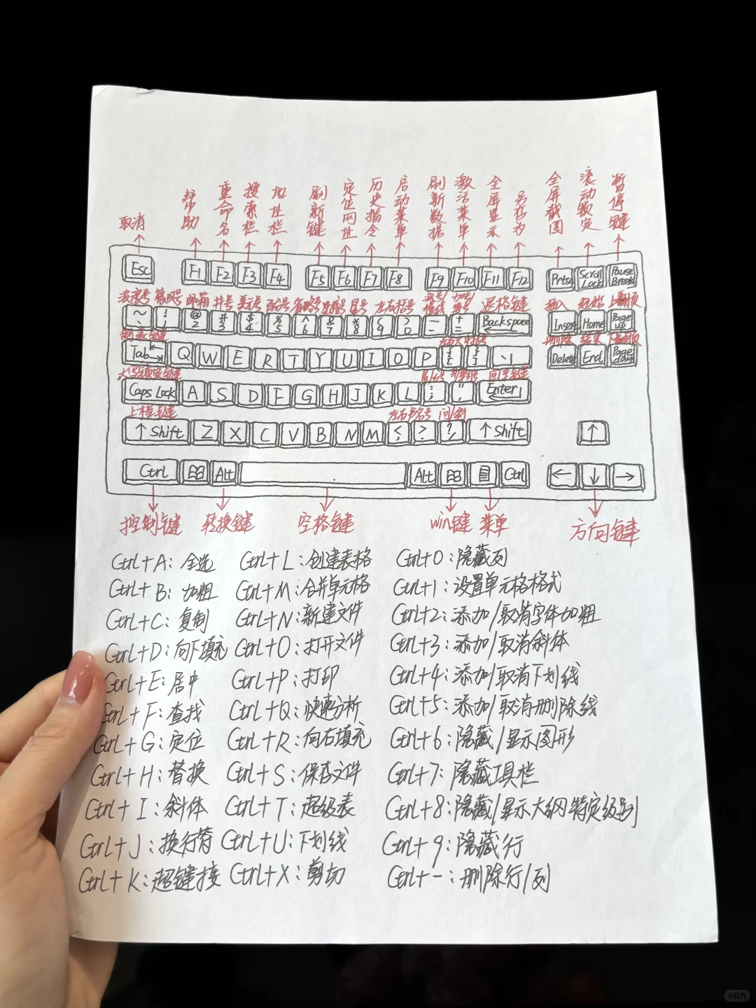 办公高手常用的快捷键大全，悄悄内卷吧