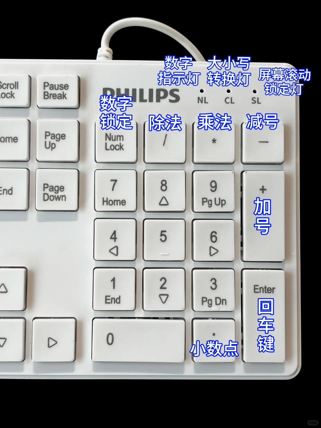 建议大家有空多学学电脑。