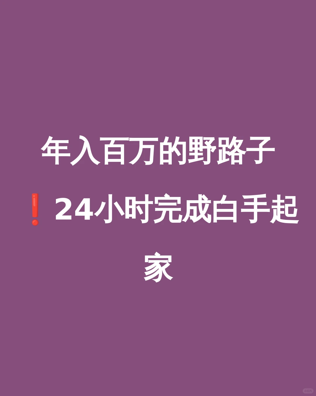 年入百万的野路子❗️24小时完成白手起家