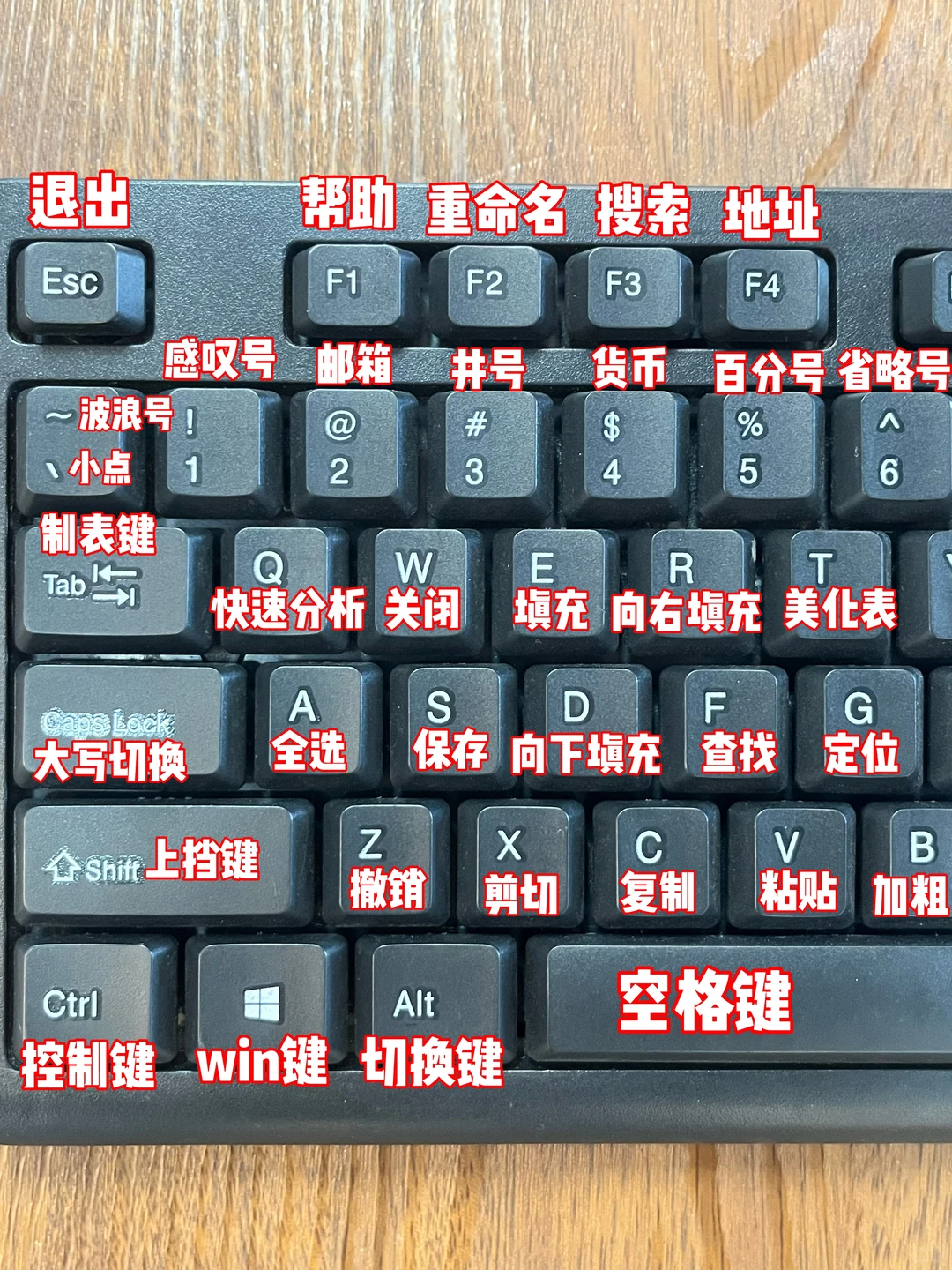 😭这也太全了吧🥹为什么没人告诉我！