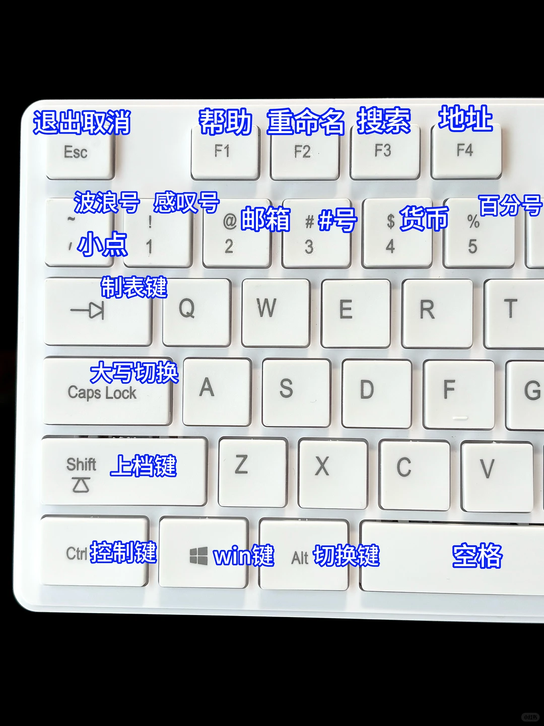 建议大家有空多学学电脑。