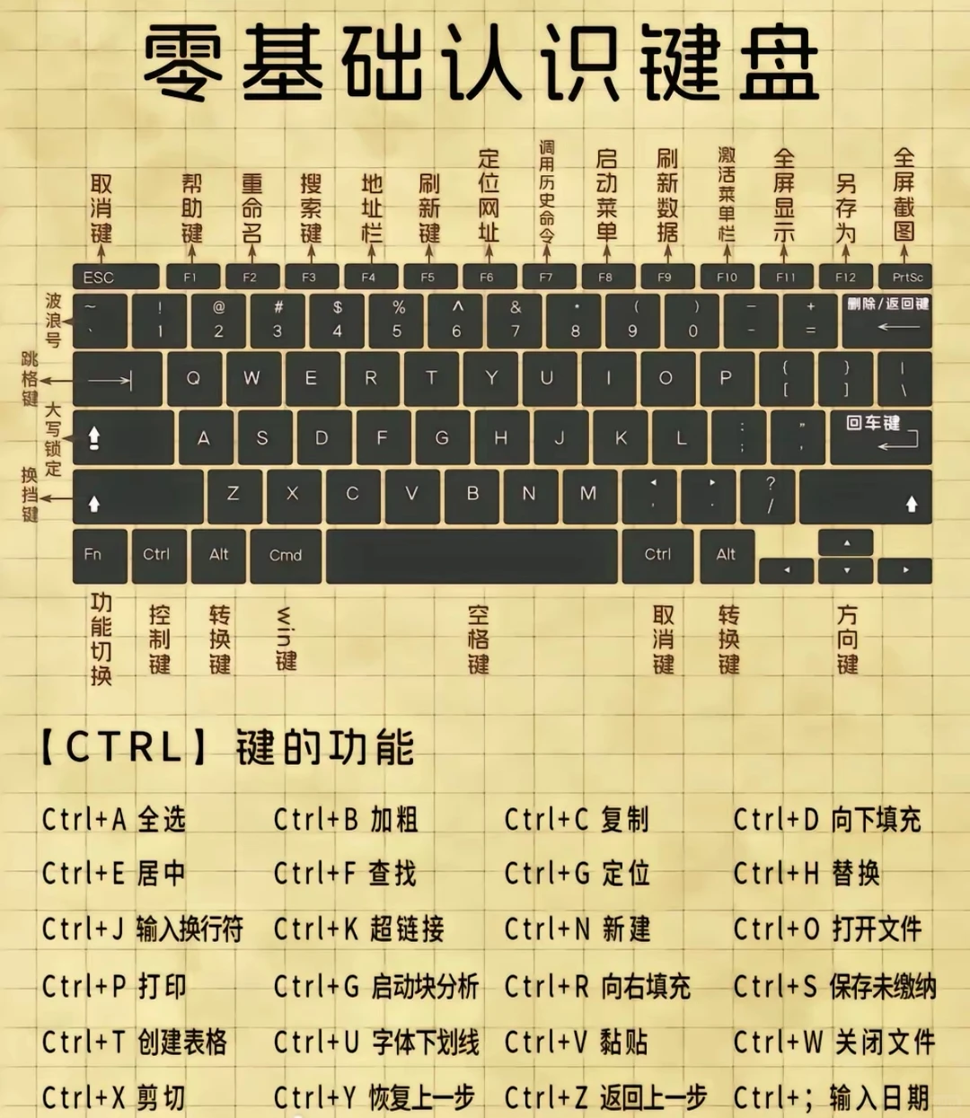 💥 快捷键大揭秘！超实用快码住✨