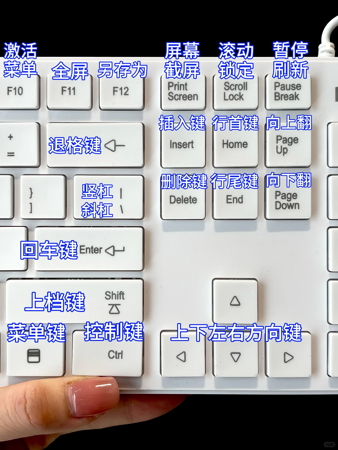 建议大家有空多学学电脑。