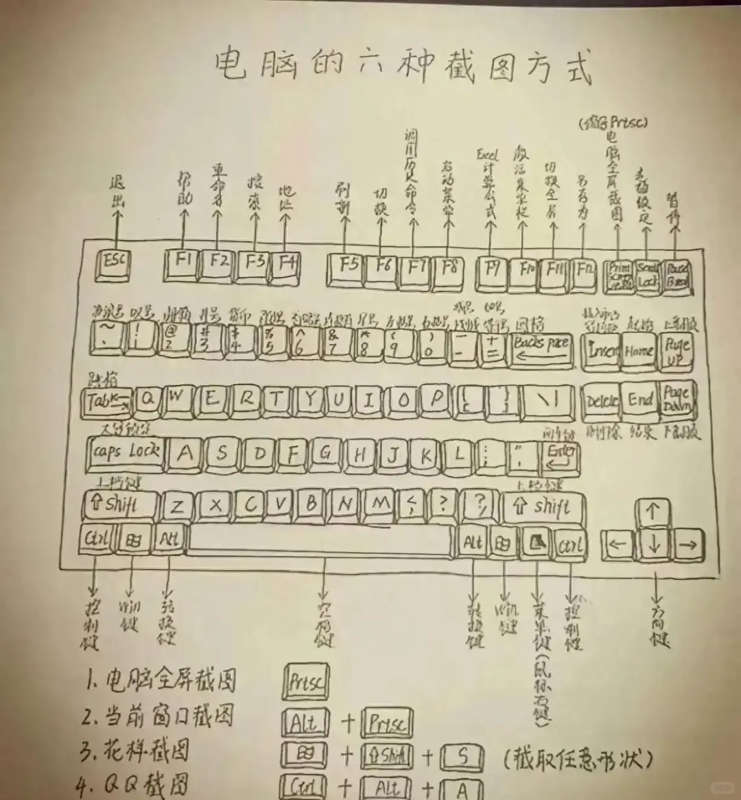 电脑基础知识总结