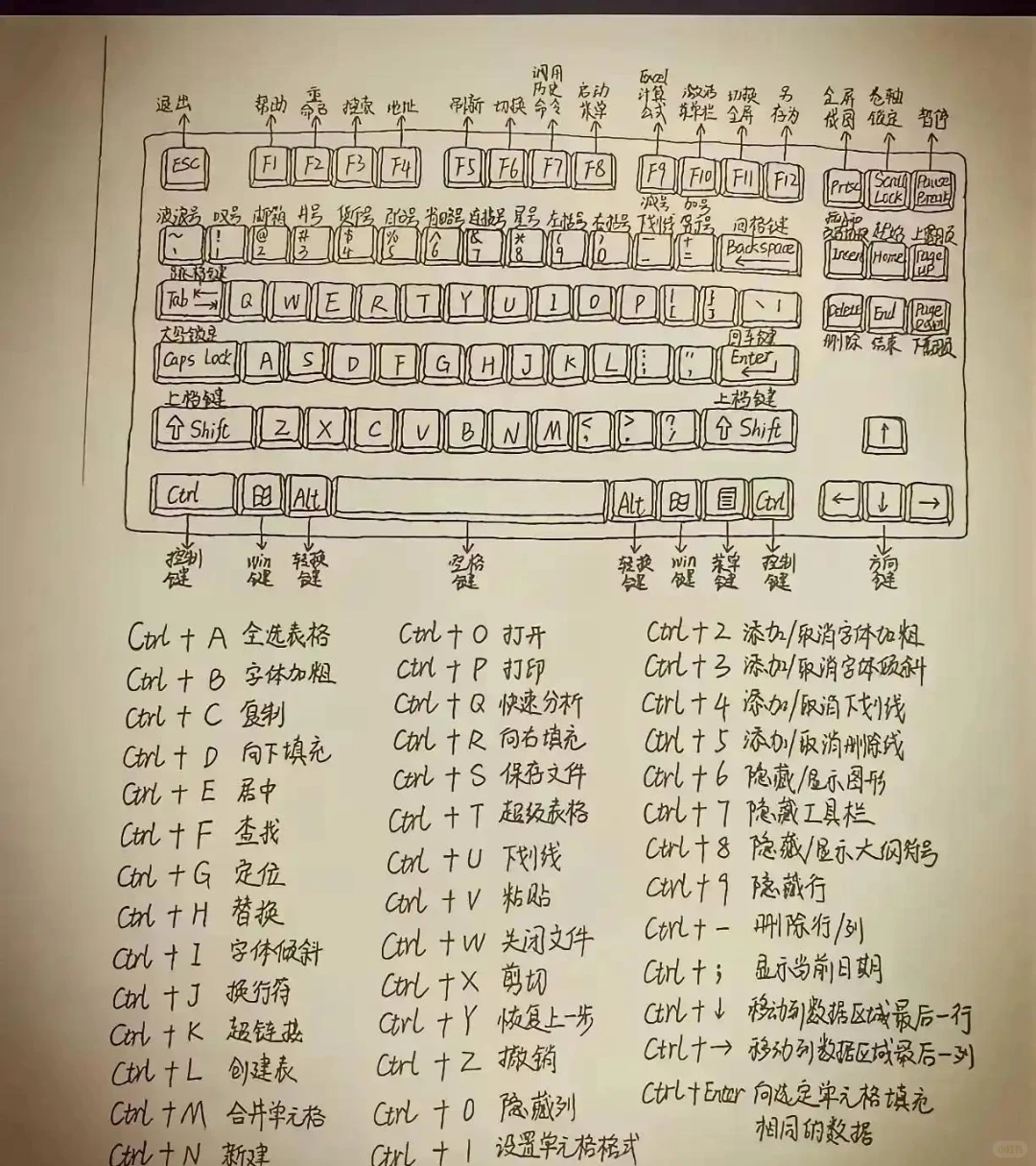 电脑基础知识总结