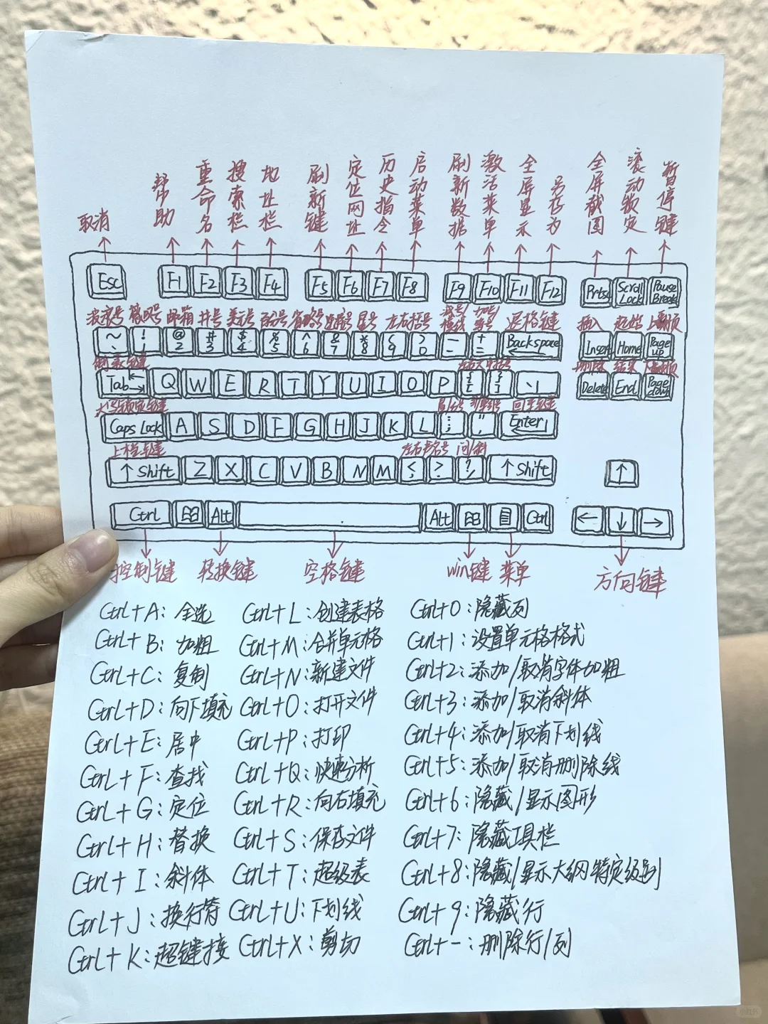 怎么以前没人告诉我这些电脑操作的知识