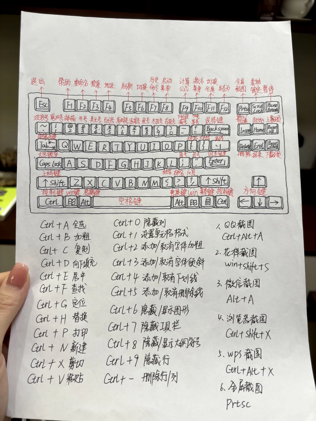 零基础学电脑从认识快捷键开始