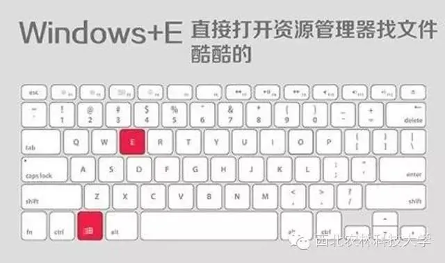 杂货铺 人人都必须会的电脑技巧 再不会就out了!