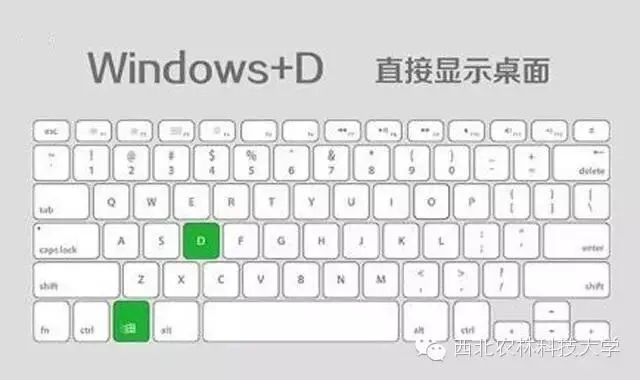杂货铺 人人都必须会的电脑技巧 再不会就out了!