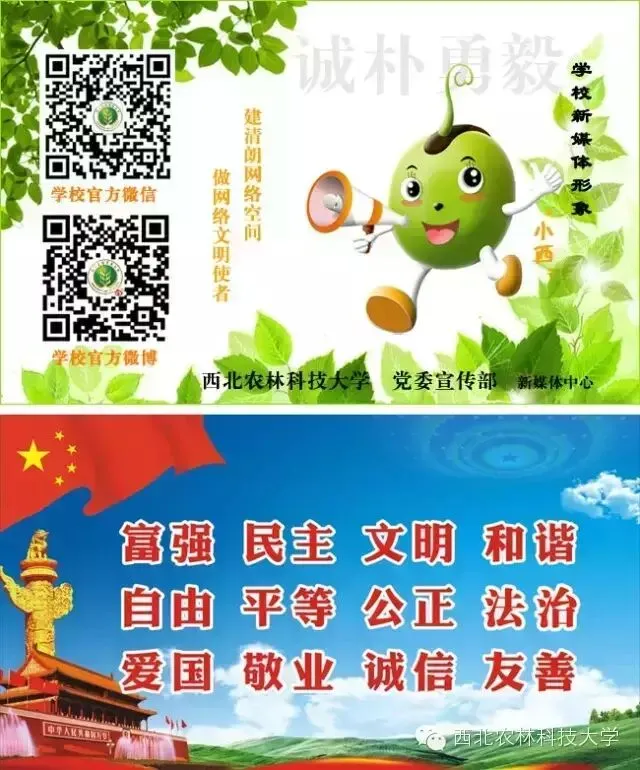 杂货铺 人人都必须会的电脑技巧 再不会就out了!