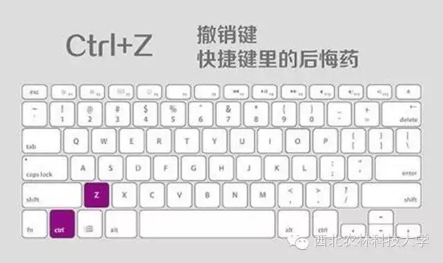 杂货铺 人人都必须会的电脑技巧 再不会就out了!