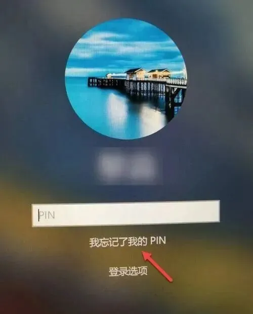 电脑技巧:电脑PIN码是知识介绍,看我你就懂了!