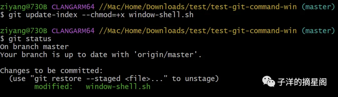 windows 下文件授权问题