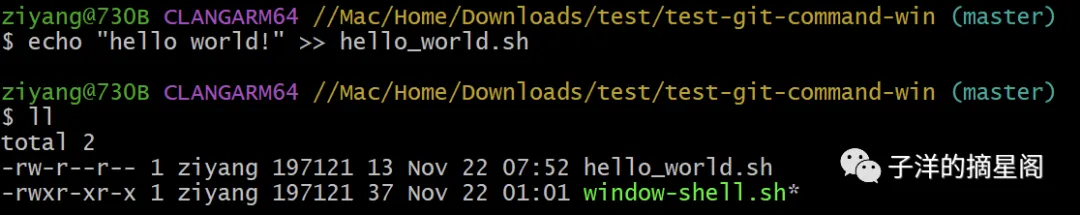 windows 下文件授权问题