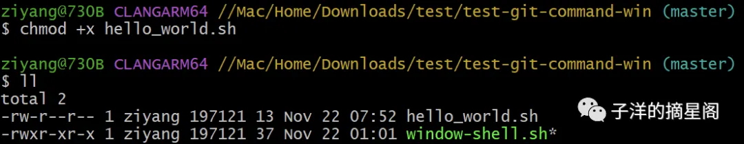 windows 下文件授权问题