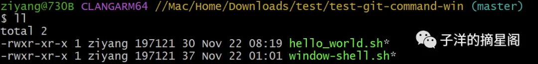 windows 下文件授权问题