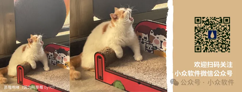 听说,Windows 11 更新又出问题了.倒是有一个办法