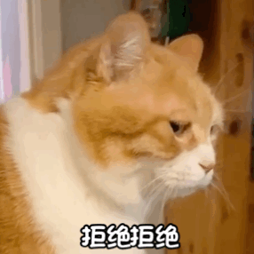 网络营销获客 做SEM还是SEO更好?